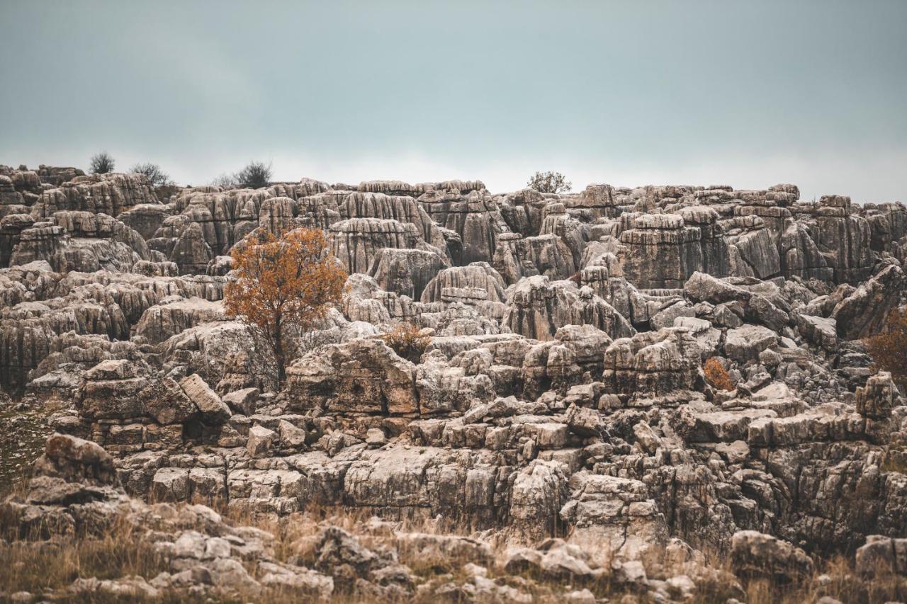 Отель Odom Retreat Mzaar Kfardebian Экстерьер фото